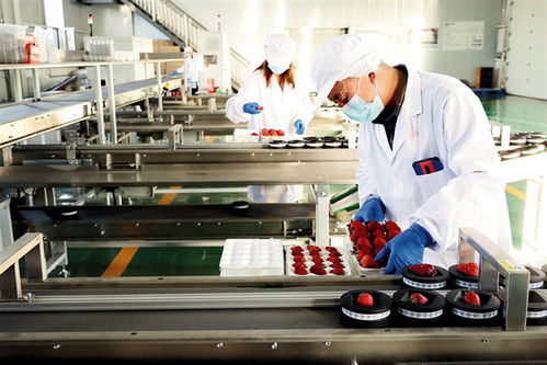 鄂爾多斯 建設農副產品電商服務中心，賦能養生保健服務新生態